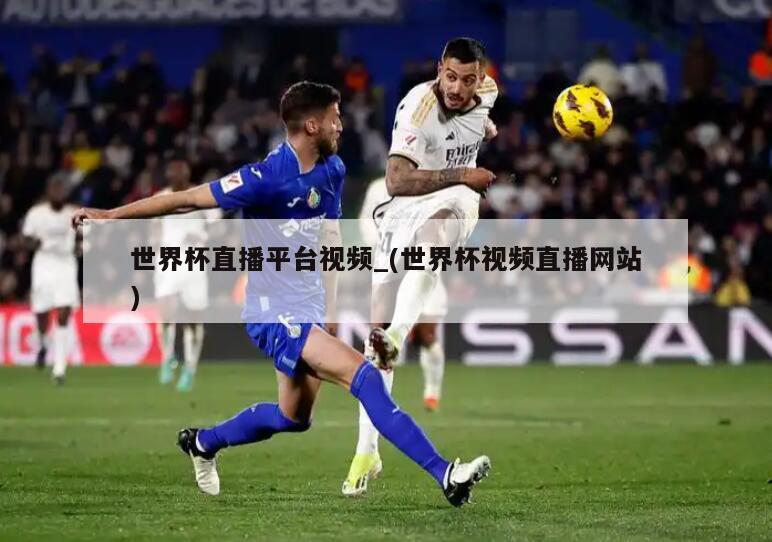 世界杯直播平台视频_(世界杯视频直播网站)