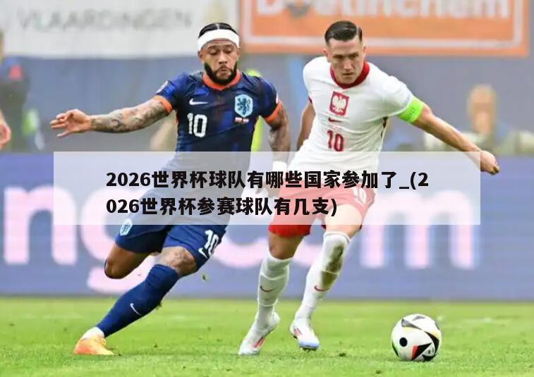 2026世界杯球队有哪些国家参加了_(2026世界杯参赛球队有几支)
