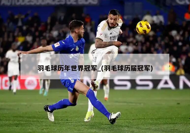 羽毛球历年世界冠军_(羽毛球历届冠军)