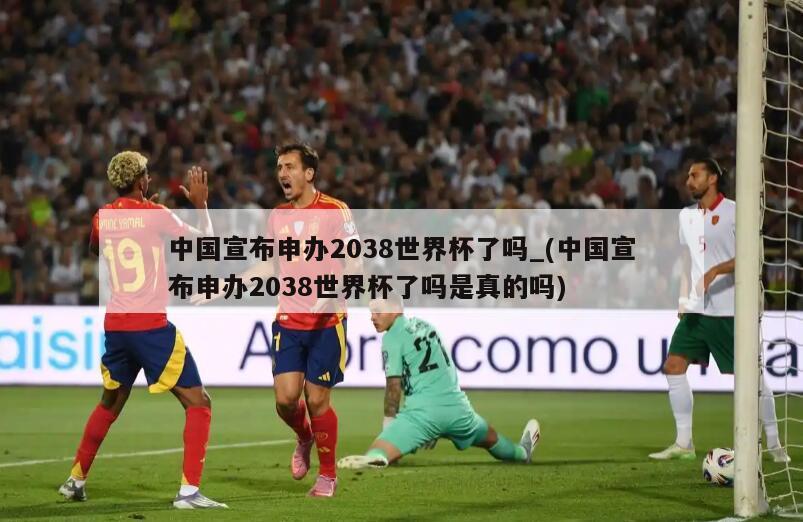 中国宣布申办2038世界杯了吗_(中国宣布申办2038世界杯了吗是真的吗)
