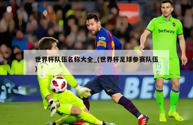 世界杯队伍名称大全_(世界杯足球参赛队伍)