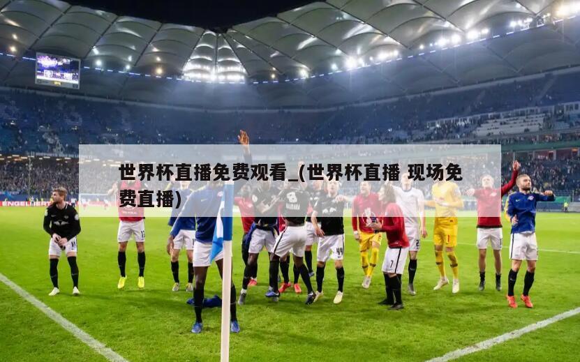 世界杯直播免费观看_(世界杯直播 现场免费直播)