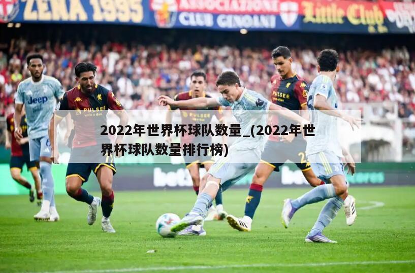 2022年世界杯球队数量_(2022年世界杯球队数量排行榜)